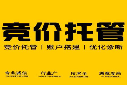 SEM托管代运营案例：优化广告投放策略